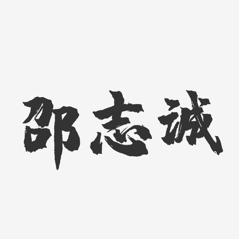 邵志诚-镇魂手书字体签名设计