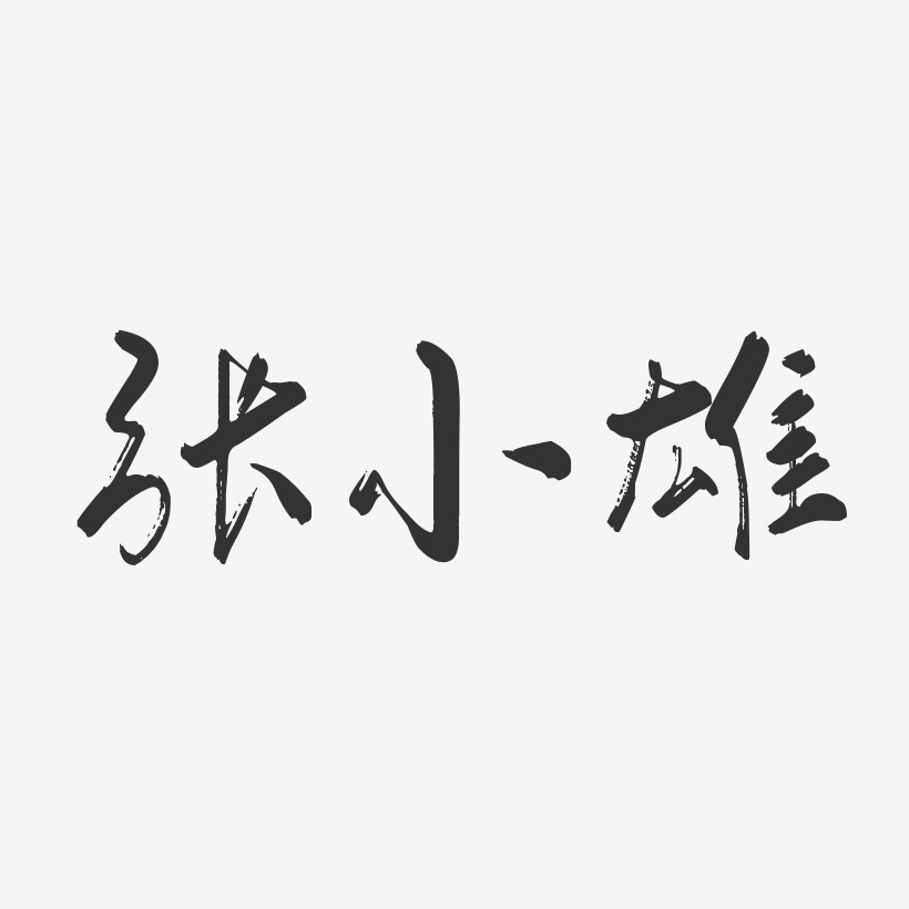 张小雄-行云飞白字体签名设计