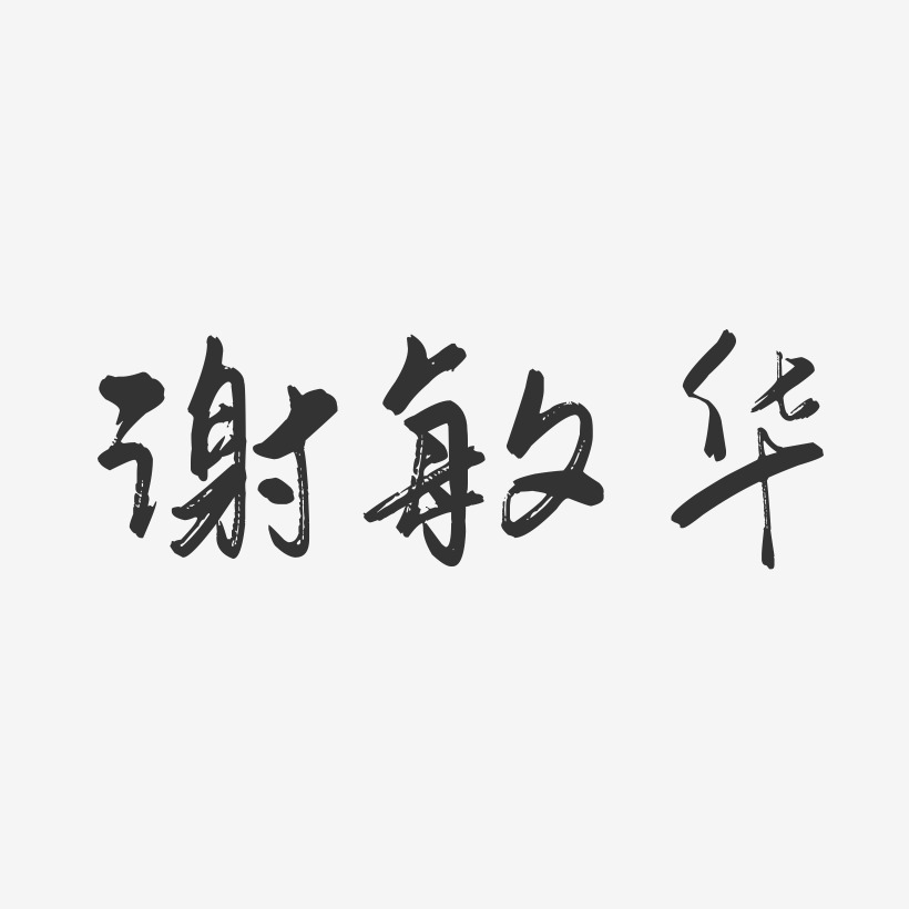 谢敏华-行云飞白字体签名设计