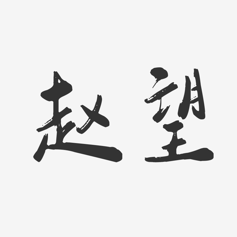 谢望-行云飞白字体签名设计