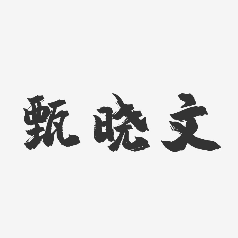 甄晓文-镇魂手书字体签名设计