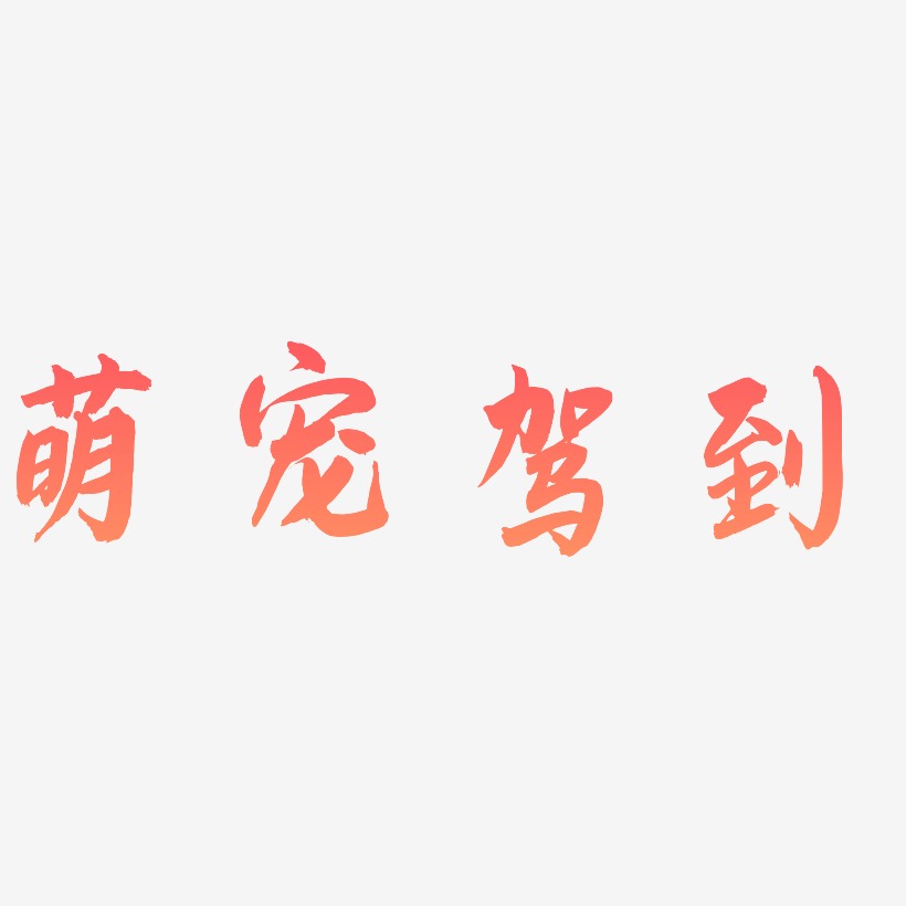 萌宠驾到-飞墨手书艺术字体