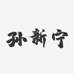 孙新宁-镇魂手书字体签名设计