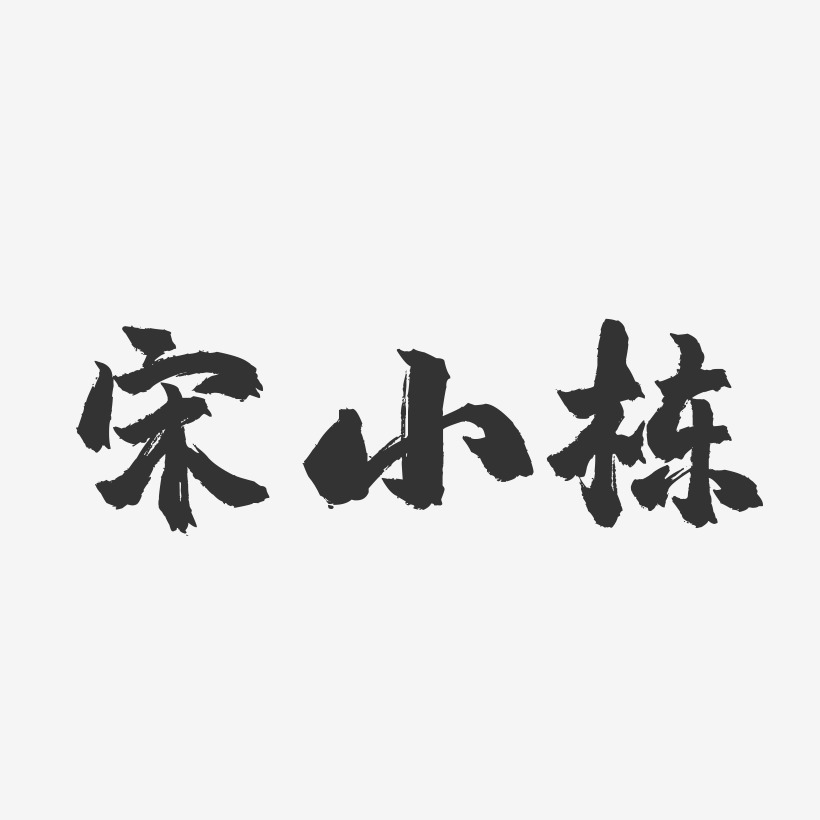 宋小栋-镇魂手书字体签名设计