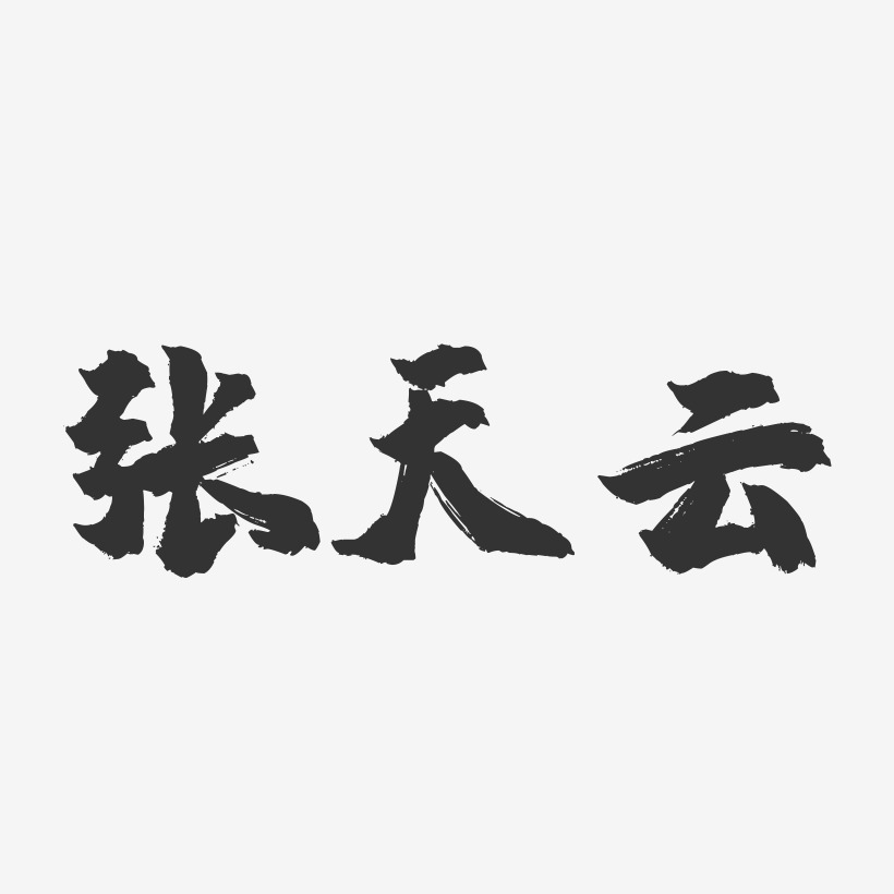 张天云-镇魂手书字体签名设计