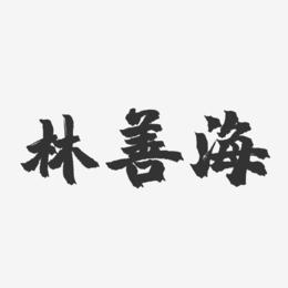 林善海-镇魂手书字体签名设计