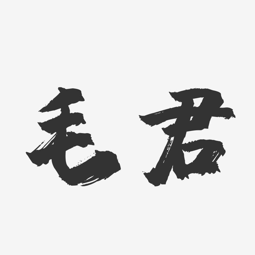 毛君-镇魂手书字体签名设计