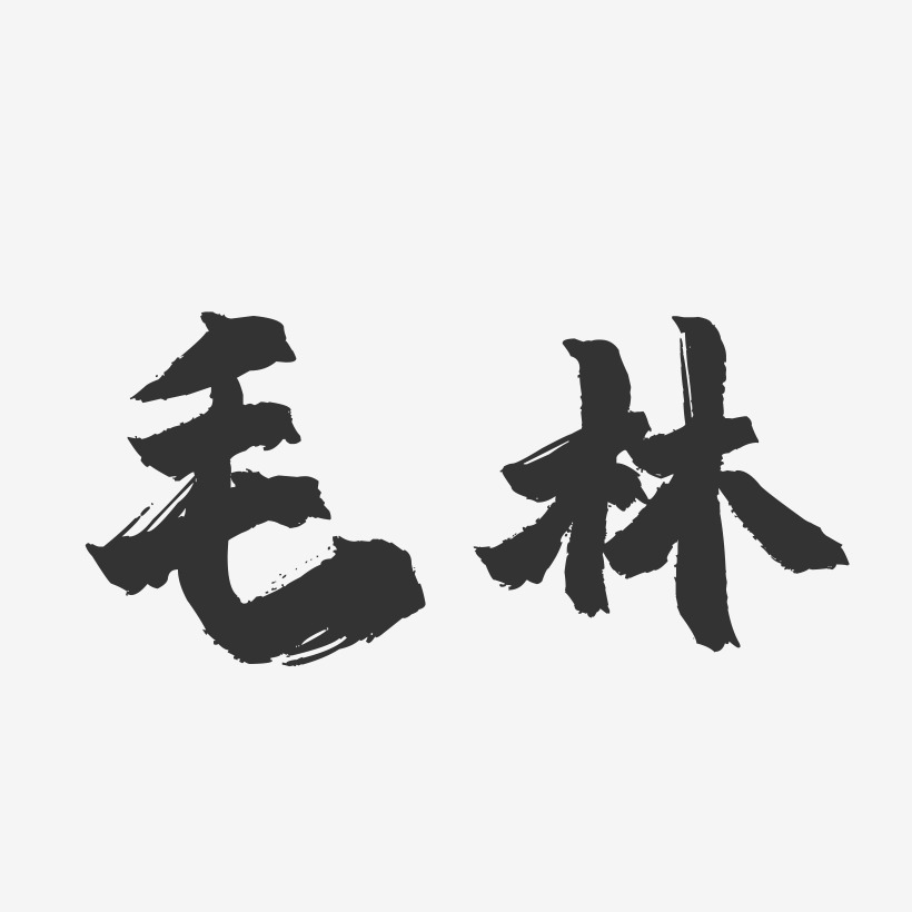 毛林-镇魂手书字体签名设计
