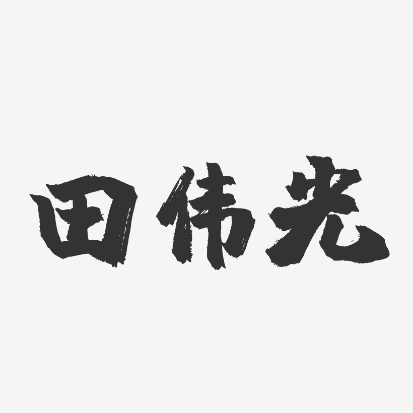 田伟光镇魂手书字体签名设计