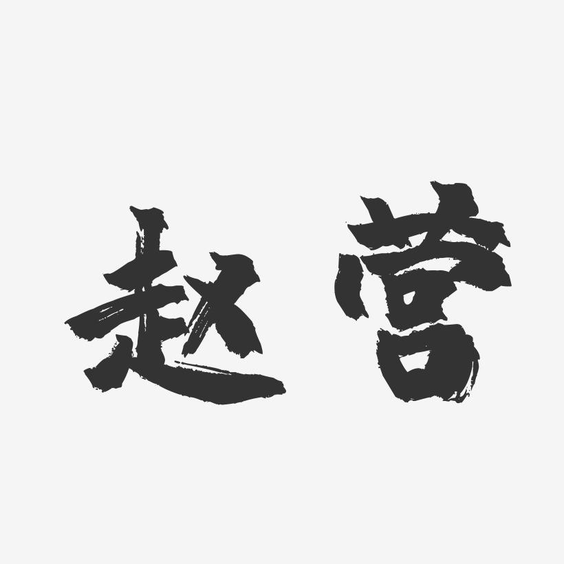 赵营-镇魂手书字体签名设计
