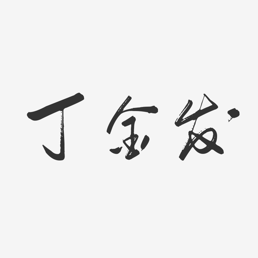 丁金发-行云飞白字体签名设计