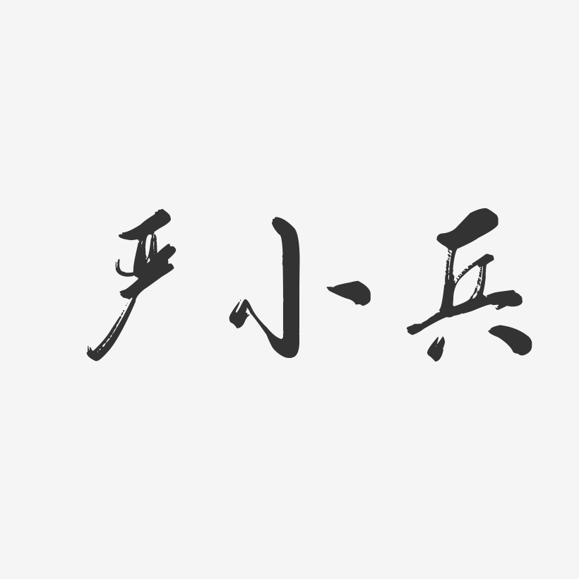 严小兵-行云飞白字体签名设计