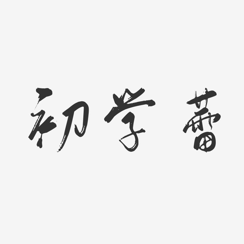 初学蕾-行云飞白字体签名设计