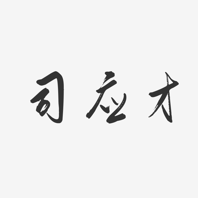 司应才-行云飞白字体签名设计