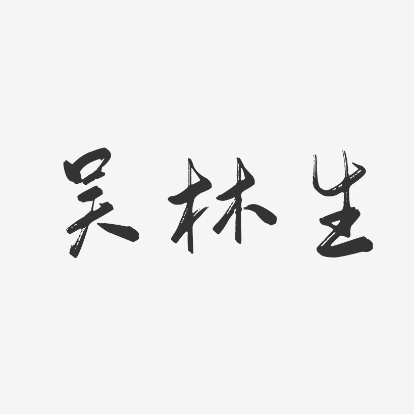 吴林生-行云飞白字体签名设计