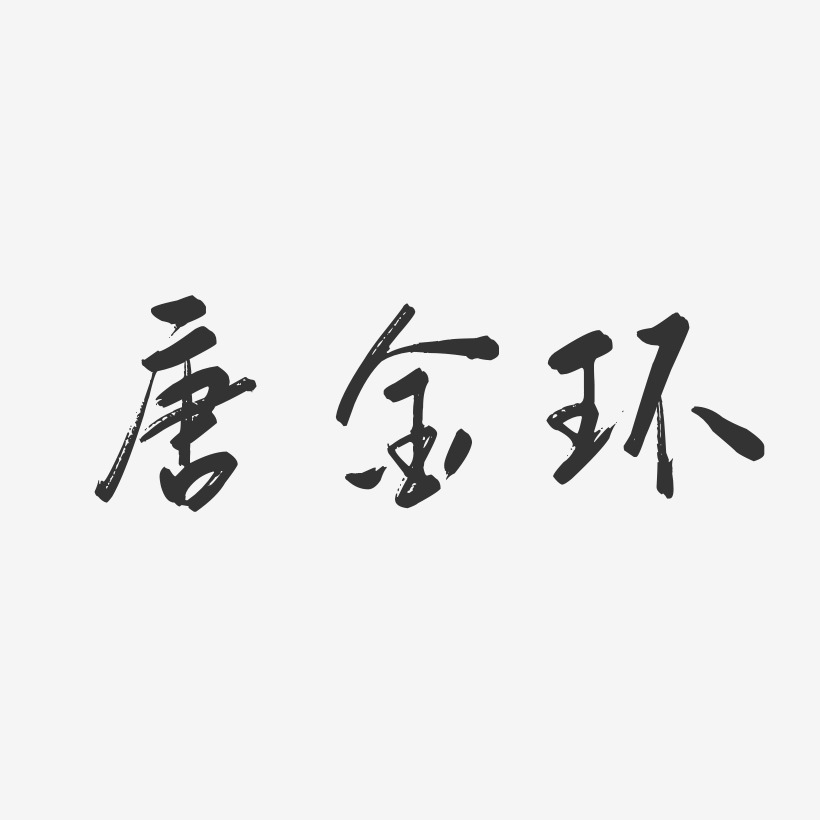 唐金环-行云飞白字体签名设计