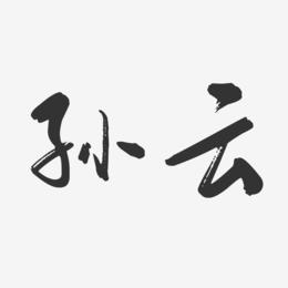 孙云-行云飞白字体签名设计