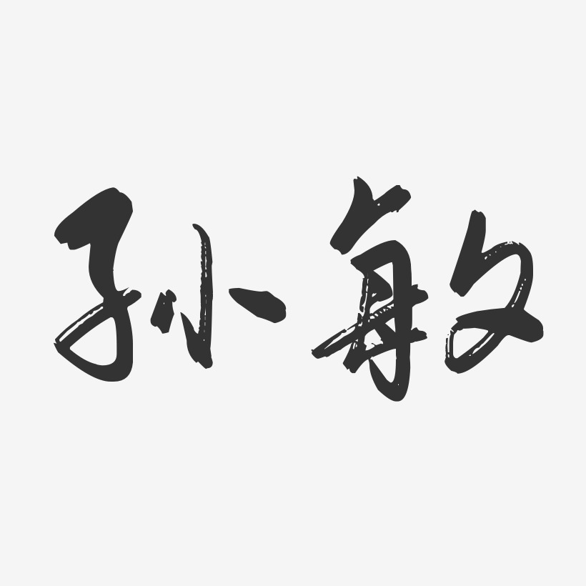 孙敏-行云飞白字体签名设计