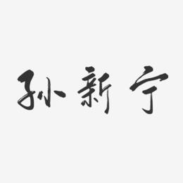 孙新宁-行云飞白字体签名设计