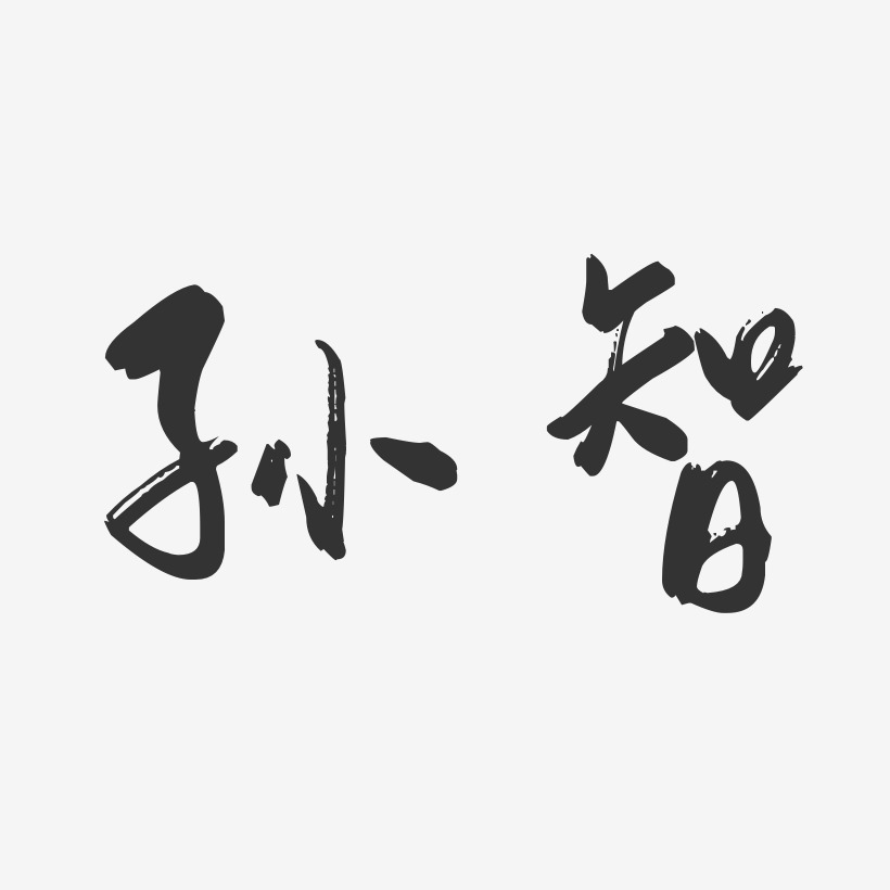 孙智-行云飞白字体签名设计