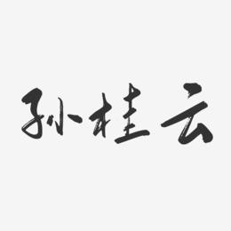 孙桂云-行云飞白字体签名设计