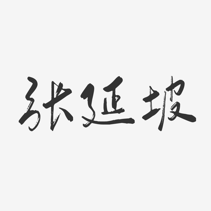 张延坡-行云飞白字体签名设计