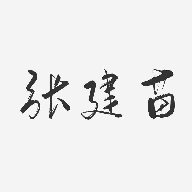 张建苗-行云飞白字体签名设计