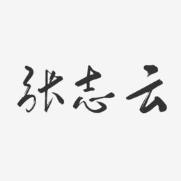 张志云-行云飞白字体签名设计