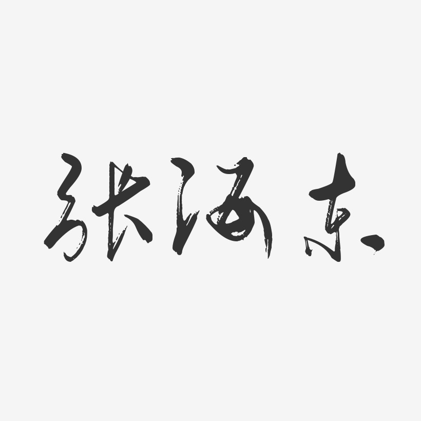 张海东-行云飞白字体签名设计