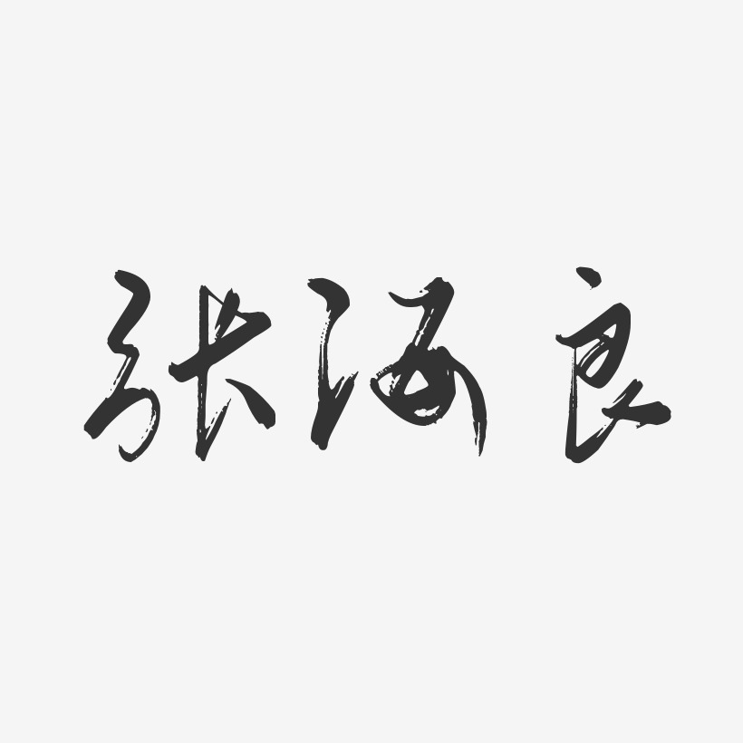 张海良-行云飞白字体签名设计