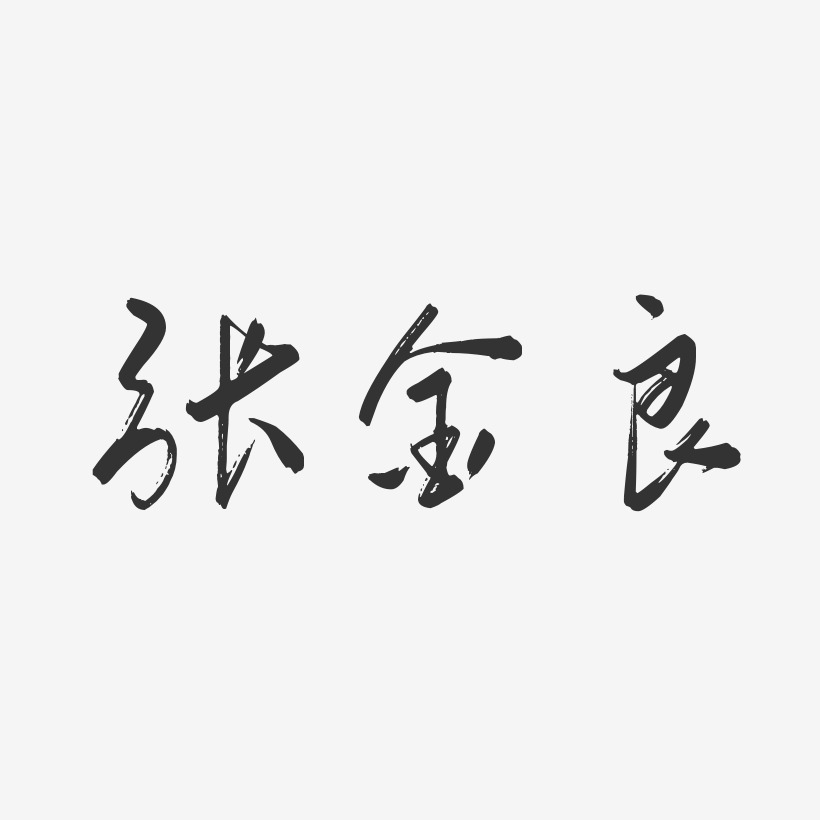 张金良-行云飞白字体签名设计