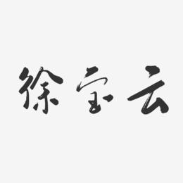 徐宝云-行云飞白字体签名设计