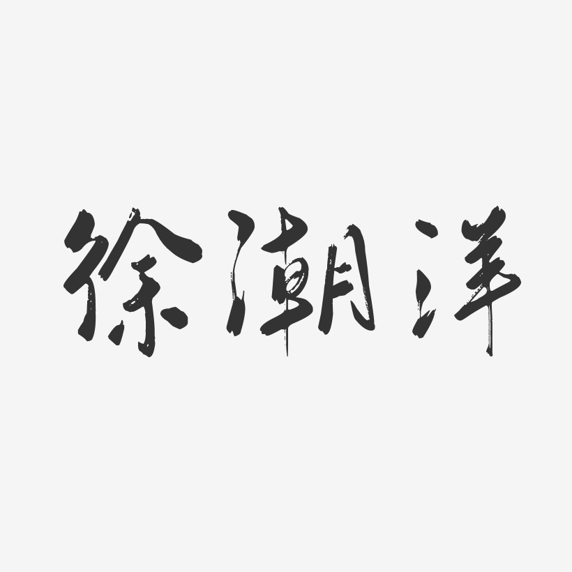 徐潮洋-行云飞白字体签名设计