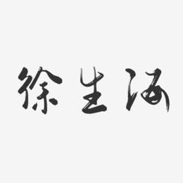 徐生海-行云飞白字体签名设计