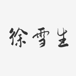 徐雪生-行云飞白字体签名设计