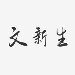 文新生-行云飞白字体签名设计