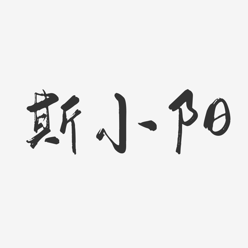 斯小陽-行雲飛白字體簽名設計