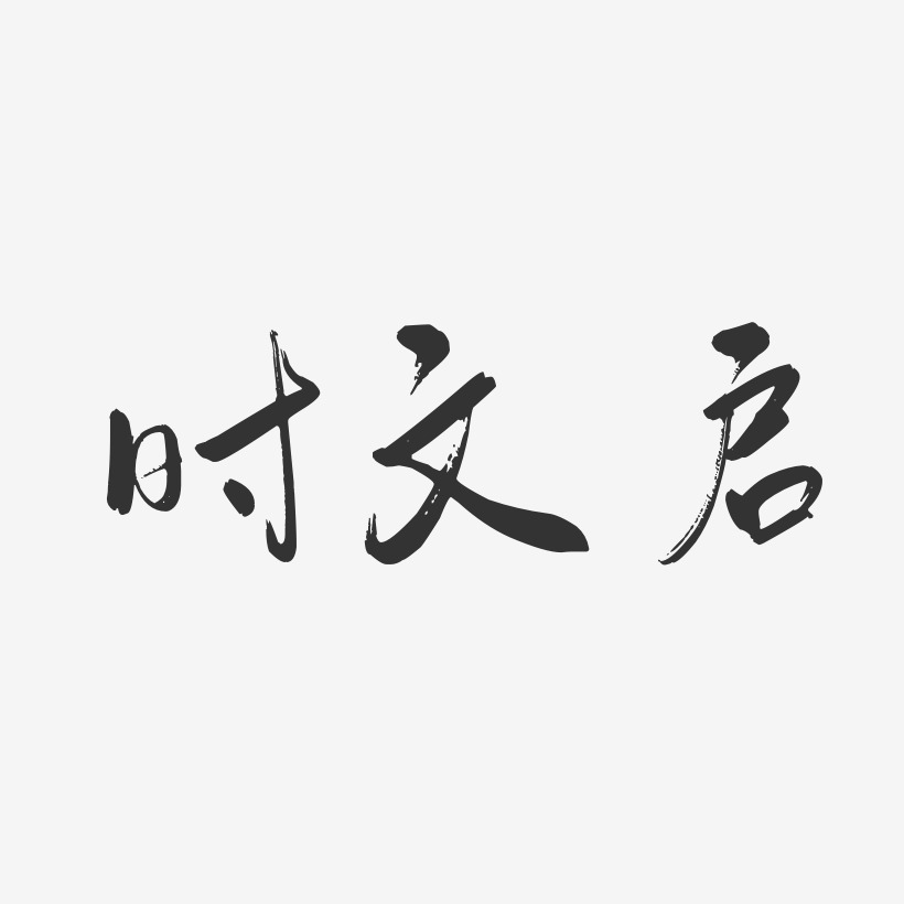 时文启-行云飞白字体签名设计