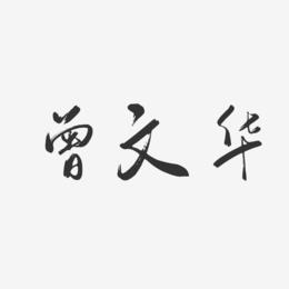 曾文华-行云飞白字体签名设计
