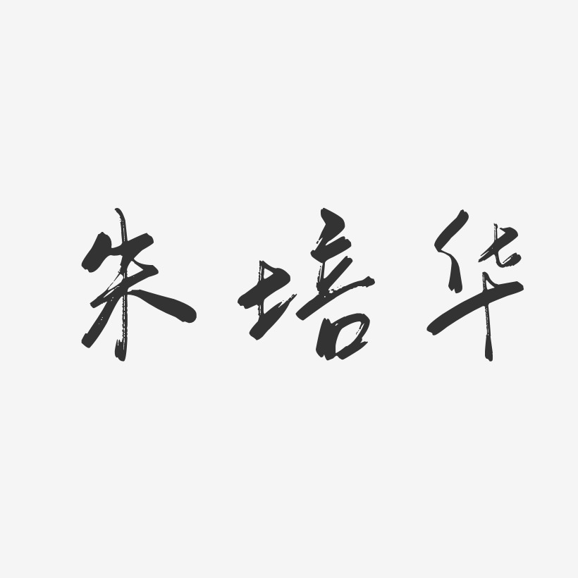 朱培华-行云飞白字体签名设计