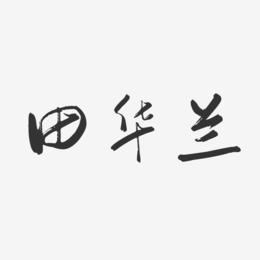 田华兰-行云飞白字体签名设计