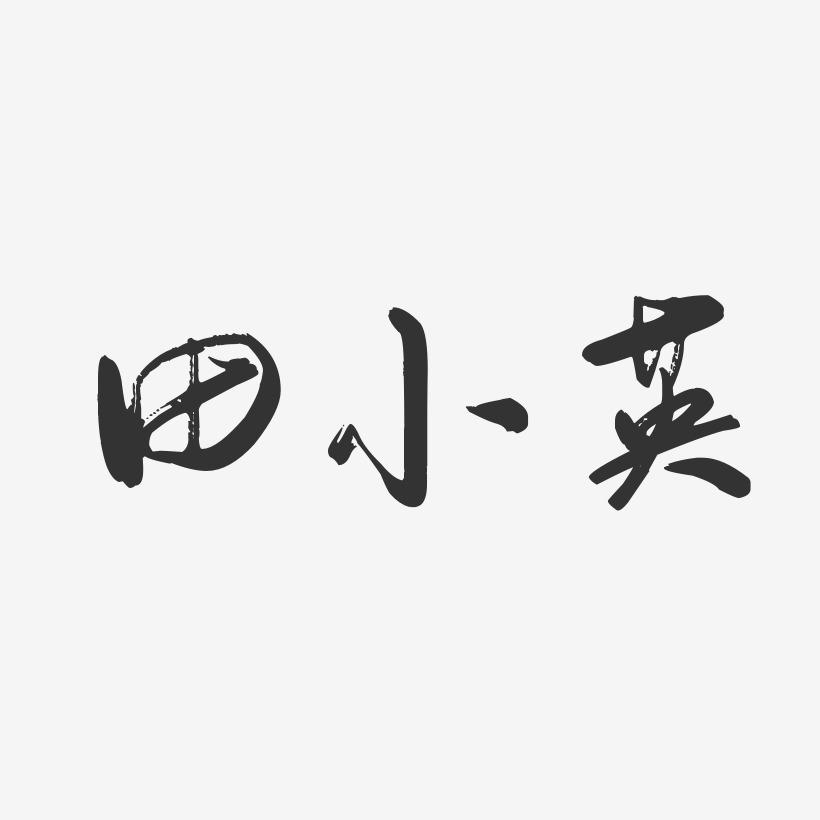 田小英-行云飞白字体签名设计