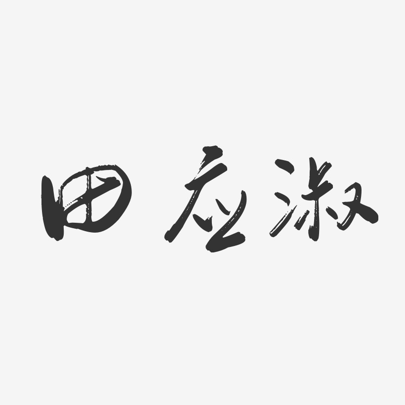 田应淑-行云飞白字体签名设计
