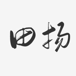 田扬-行云飞白字体签名设计