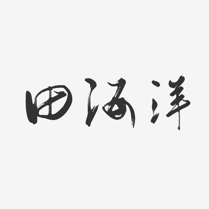 田海洋-行云飞白字体签名设计