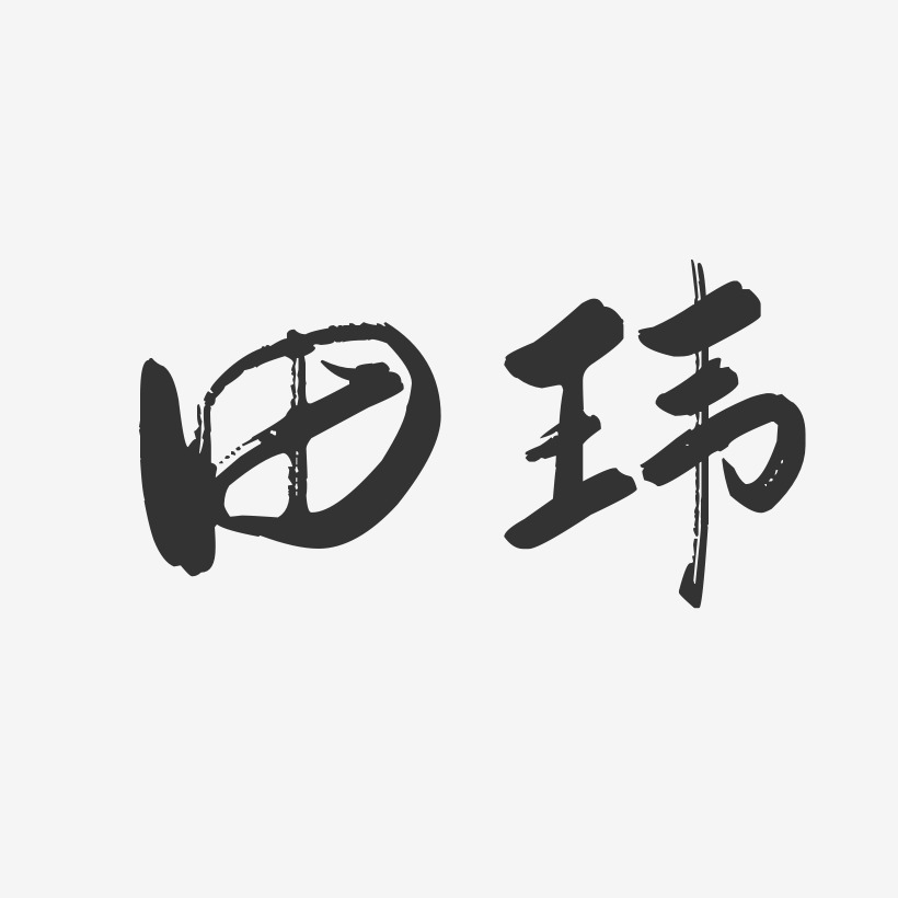田玮-行云飞白字体签名设计