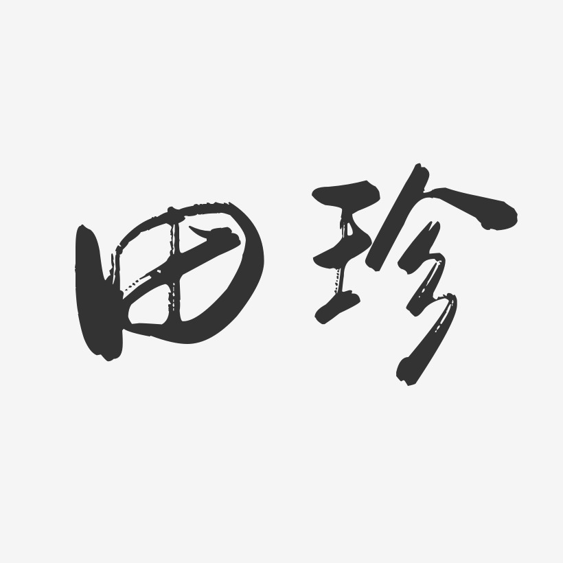 田珍-行云飞白字体签名设计
