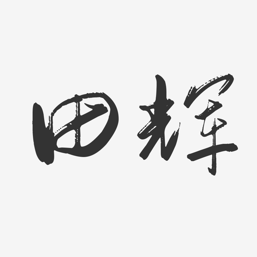 田辉-行云飞白字体签名设计