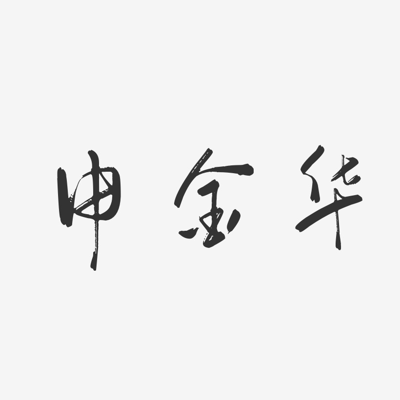 申金华-行云飞白字体签名设计