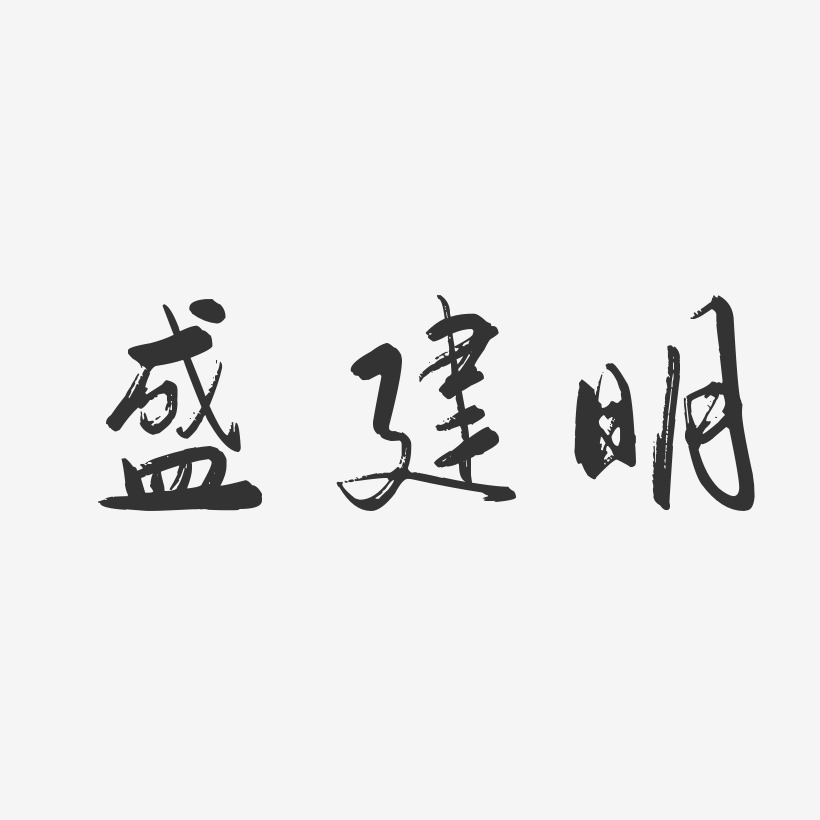 盛建明-行云飞白字体签名设计